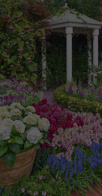 jardin à l’anglaise